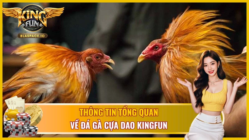 Đá gà cựa dao KingFun - so sánh với cựa sắt và đặc điểm hình thức đá gà