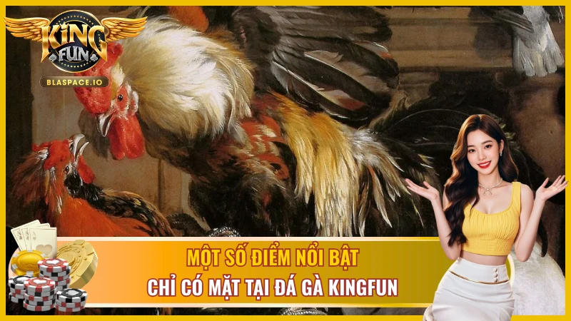 Luật đá gà cựa dao KingFun - yêu cầu chiến kê và cách xác định kết quả trận