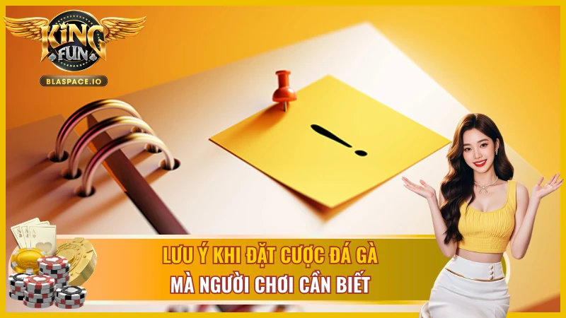 3 lưu ý quan trọng khi đặt cược đá gà cựa dao KingFun