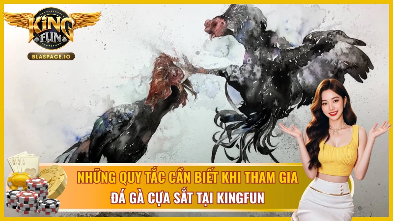 Luật thi đấu đá gà cựa sắt KingFun - điều kiện chiến kê và cách xác định thắng thua