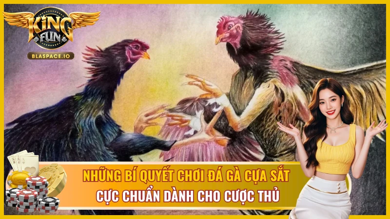 Xem livestream đá gà cựa sắt KingFun qua sảnh SV388 và WS168