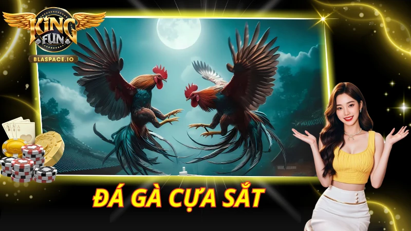 Đá Gà Cựa Sắt KingFun – Luật Chơi, 3 Giống Gà & Mẹo Cược 2026
