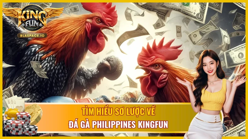 Đá gà Philippines KingFun qua sảnh WS168 - trường gà quốc tế hàng đầu Đông Nam Á