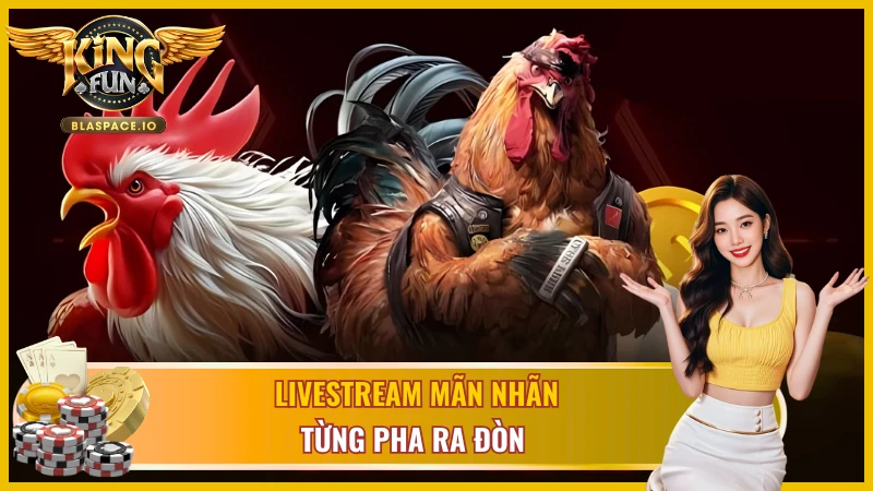 Tỷ lệ kèo đá gà Philippines KingFun qua WS168 - Meron Wala cập nhật real-time