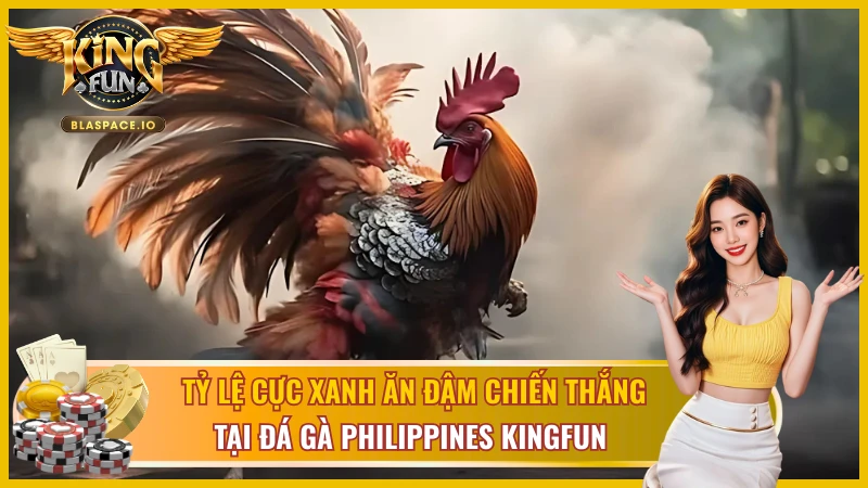 Bí kíp đặt cược đá gà Philippines KingFun - soi phong độ và chiến lược cược