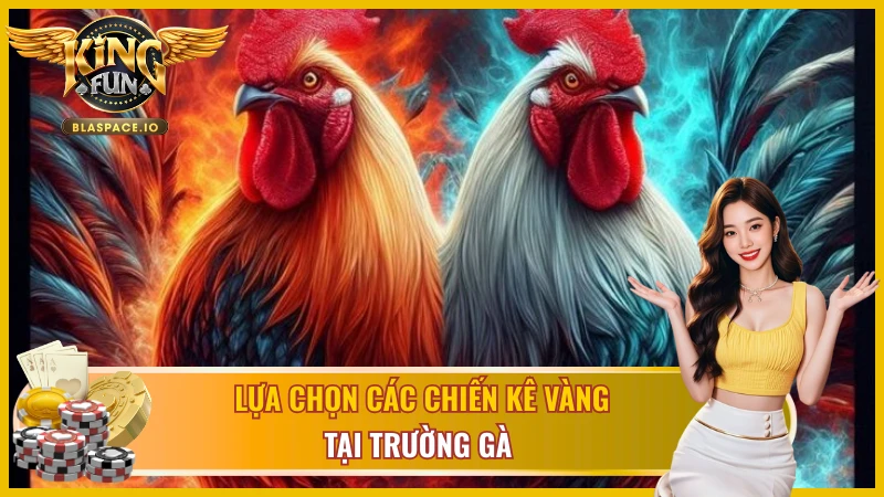 Chiến kê Philippines chuyên nghiệp tại trường gà WS168 KingFun