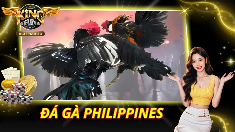 Đá Gà Philippines KingFun – Trường Gà WS168, Livestream & Cược 2026