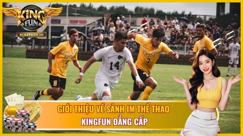 IM Thể Thao KingFun - sảnh cá cược thể thao chuyên Đông Nam Á V-League AFF Cup