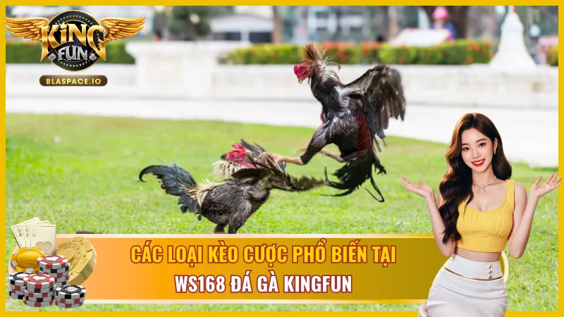 Các loại kèo cược WS168 Đá Gà KingFun - Meron Wala Draw và kèo số vòng