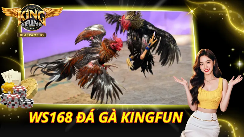 WS168 Đá Gà KingFun – Livestream HD Từ Philippines 24/7